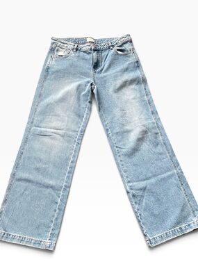 PacSun Casey Low Rise Baggy Jeans 30 x 31 Light Wash Wide Leg Long Inseam